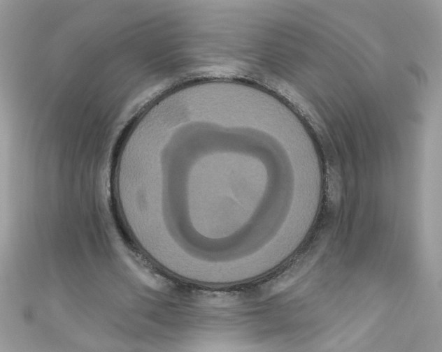 X0000111020486200907171858