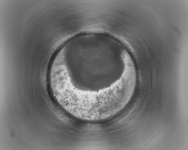 X0000111020487200907171858