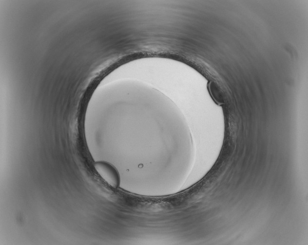 X0000111020488200907171858