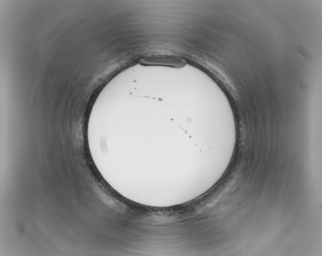 X0000111020489200907171858