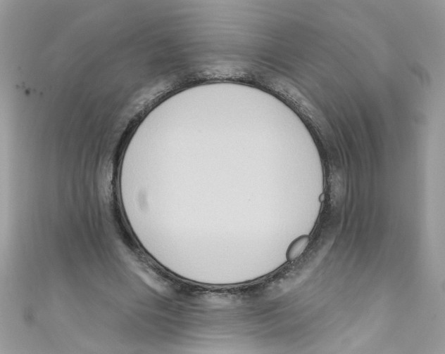 X0000111020490200907171858
