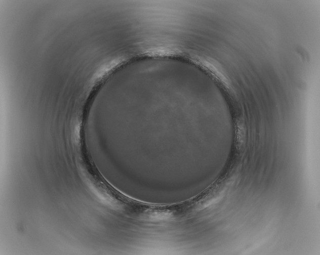 X0000111020491200907171858