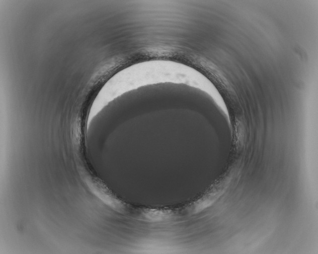 X0000111020494200907171858