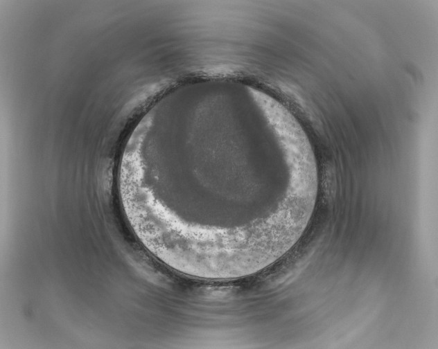 X0000111020495200907171858