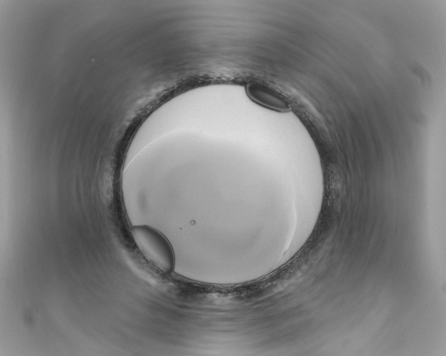 X0000111020496200907171858