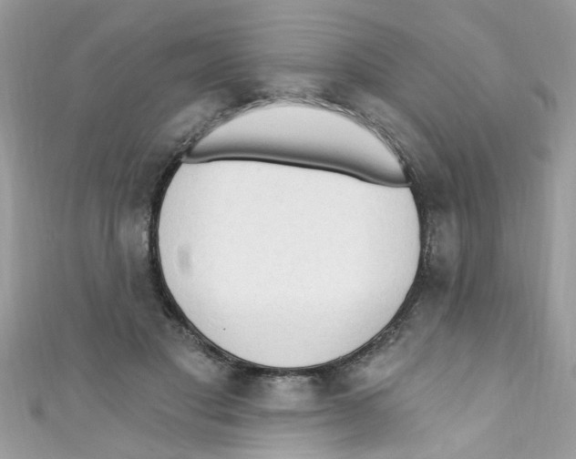 X0000111020501200907171858