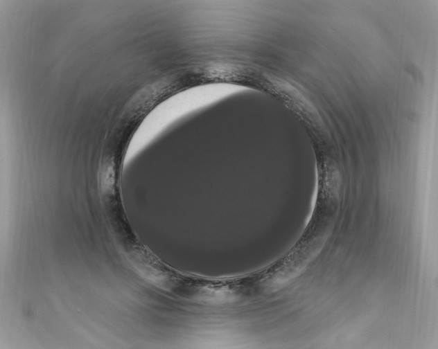 X0000111020502200907171858