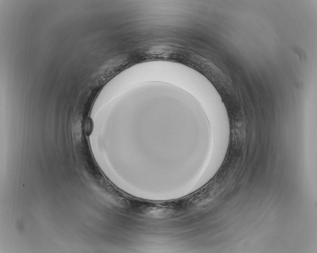 X0000111020504200907171858