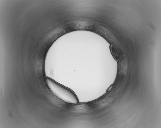 X0000111020505200907171858
