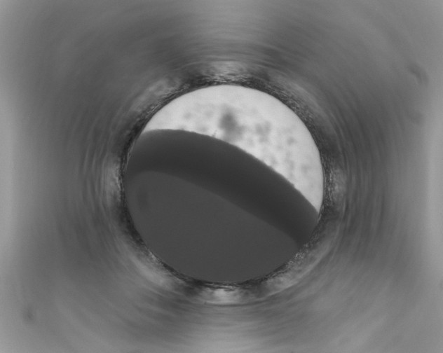 X0000111020506200907171858