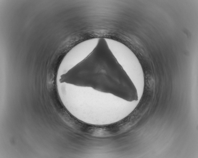 X0000111020507200907171858