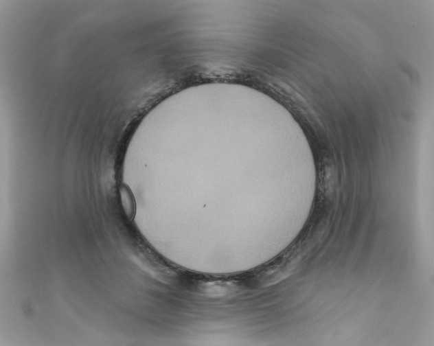 X0000111020508200907171858