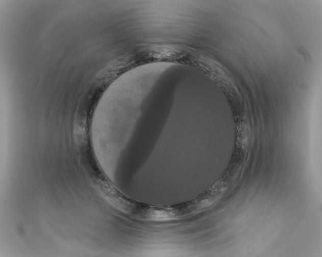 X0000111020510200907171858