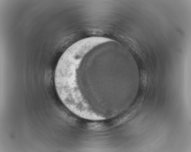 X0000111020511200907171858