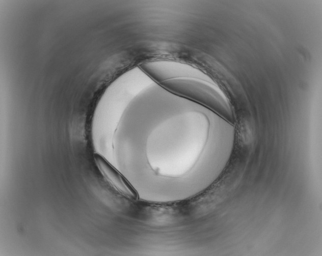 X0000111020512200907171858
