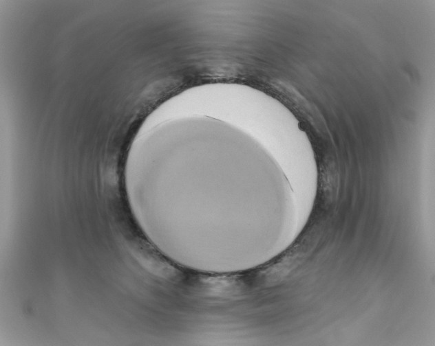 X0000111020516200907171858