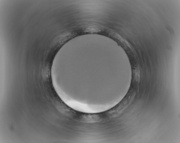 X0000111020517200907171858