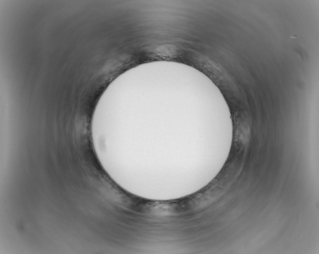 X0000111020518200907171858