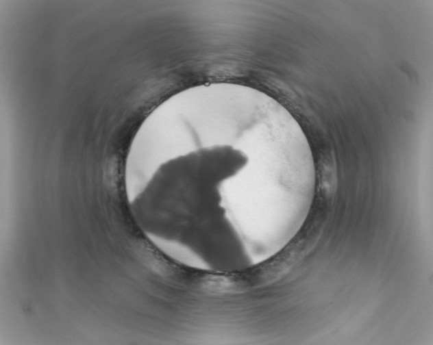 X0000111020519200907171858