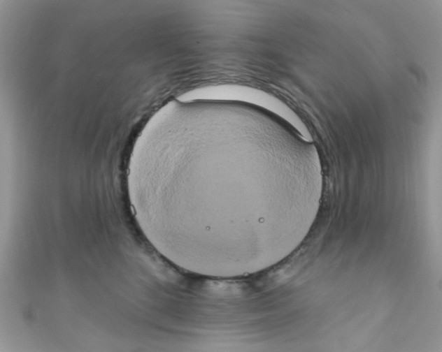 X0000111020520200907171858