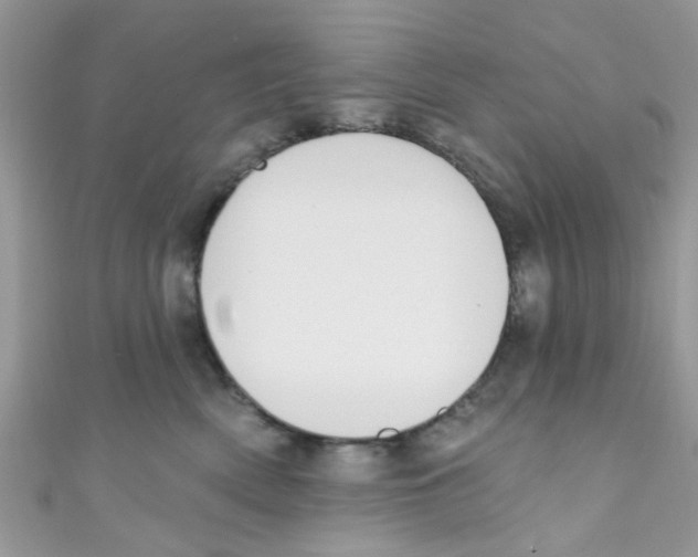 X0000111020522200907171858