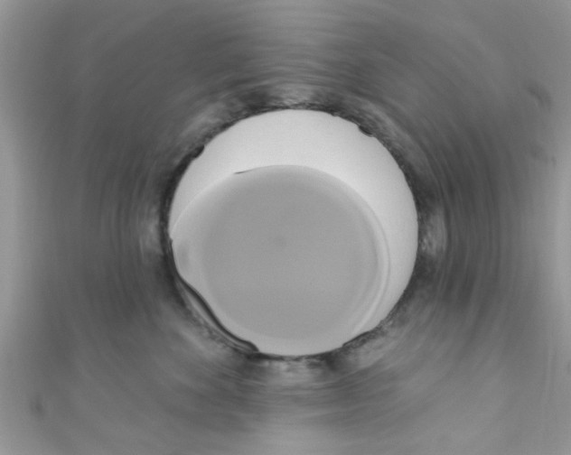 X0000111020524200907171858