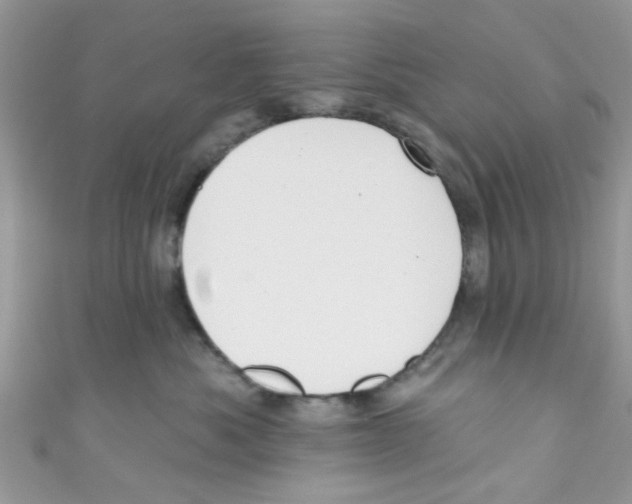 X0000111020525200907171858