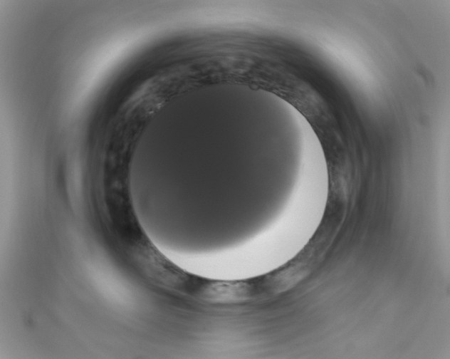 X0000111020526200907171858
