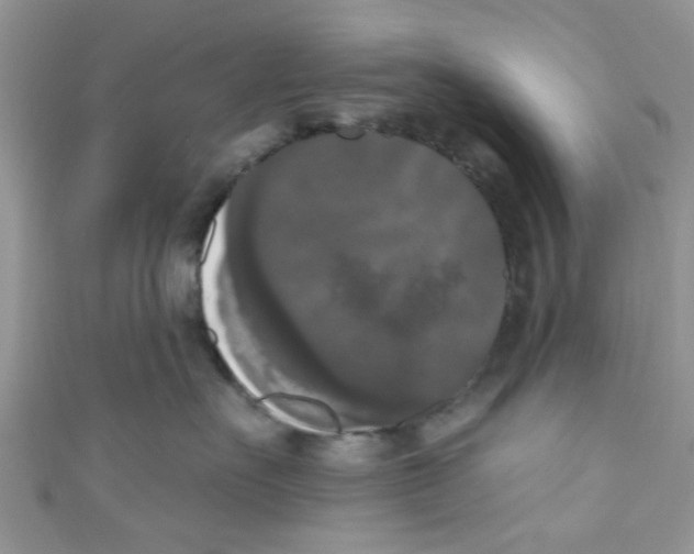 X0000111020527200907171858