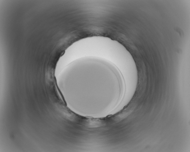 X0000111020528200907171858