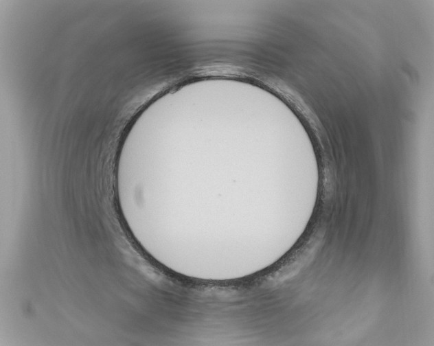 X0000111020529200907171857
