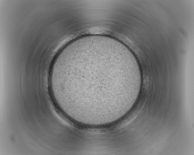 X0000111020530200907171857