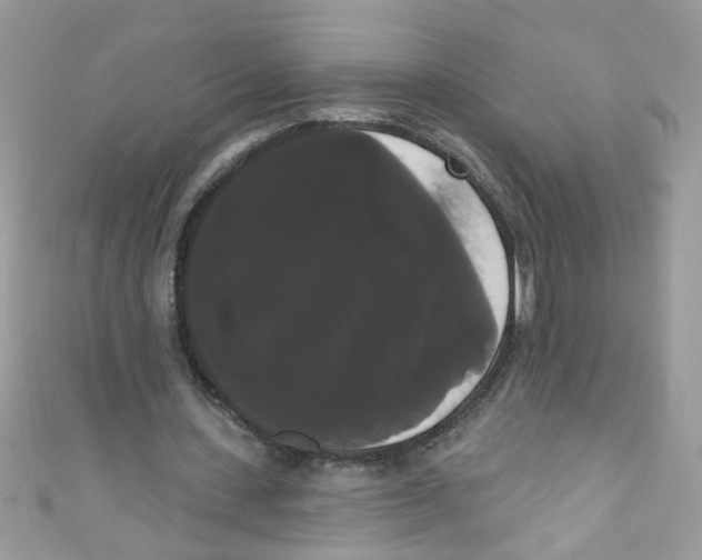 X0000111020531200907171857