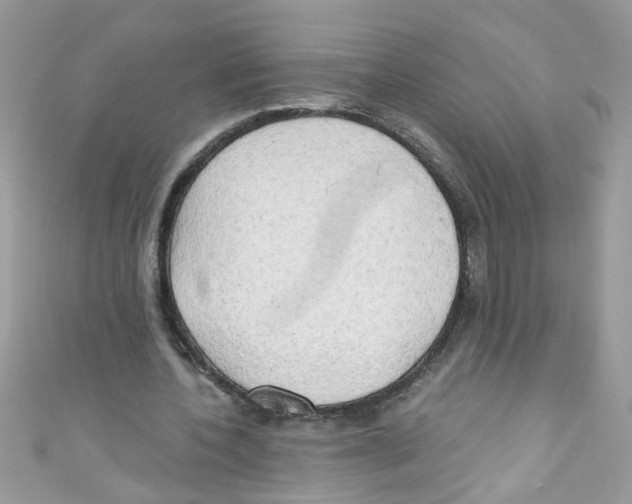 X0000111020532200907171857
