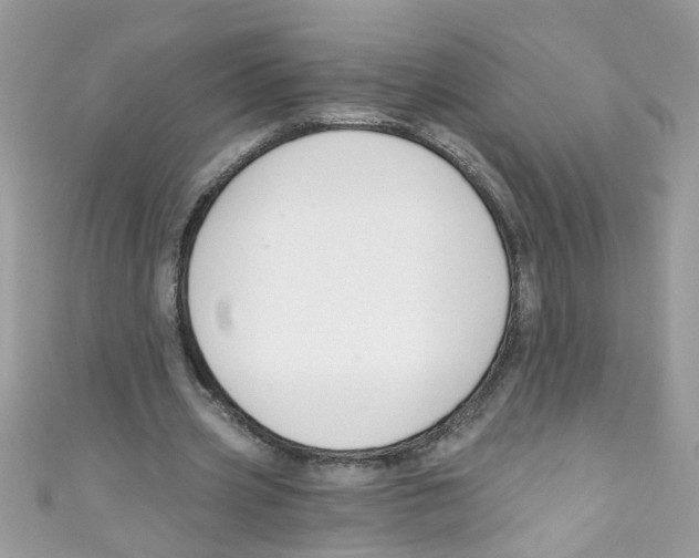 X0000111020533200907171857