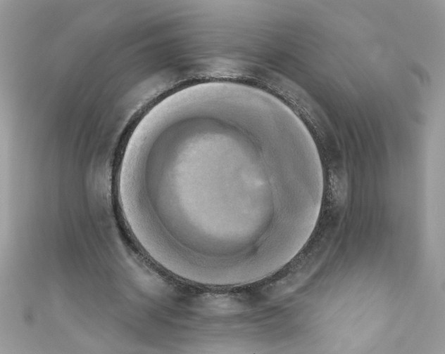 X0000111020534200907171857