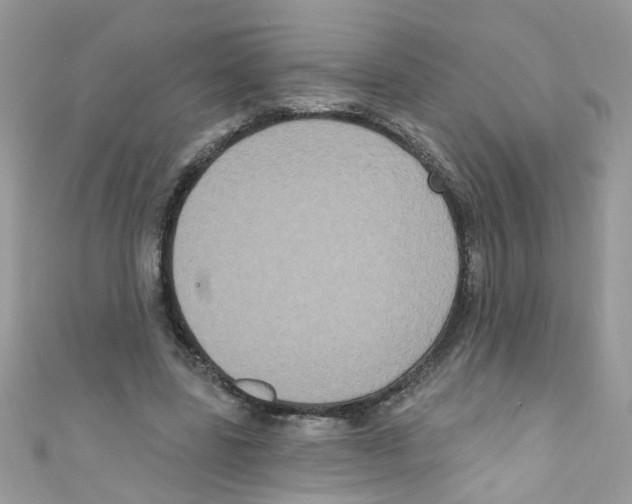 X0000111020539200907171857