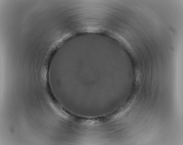 X0000111020542200907171857