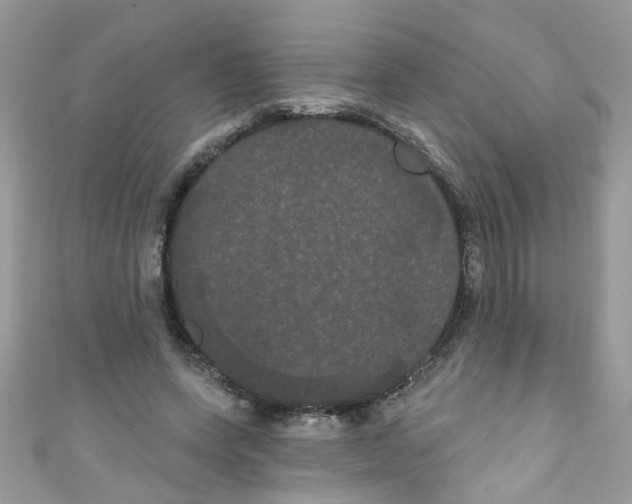 X0000111020543200907171857
