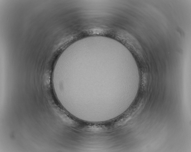 X0000111020545200907171857