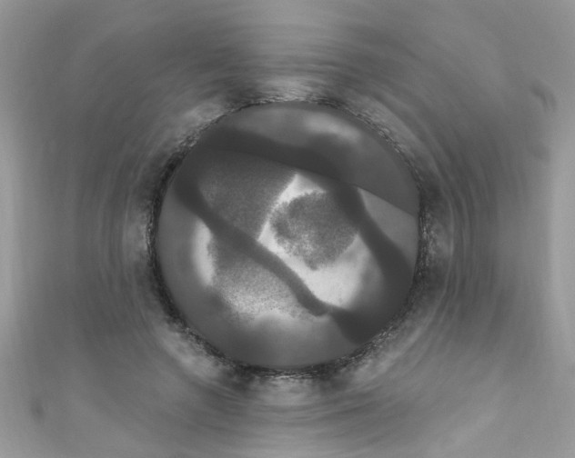 X0000111020546200907171857