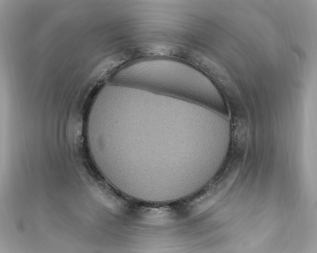X0000111020548200907171857