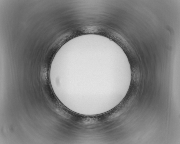 X0000111020549200907171857