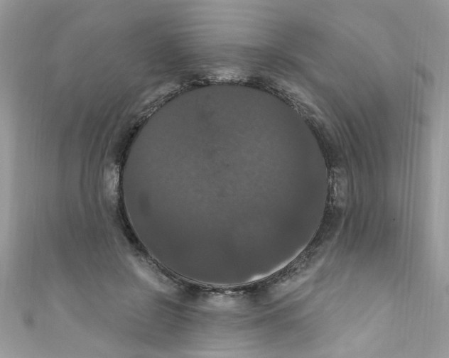 X0000111020550200907171857