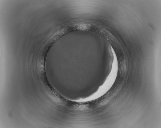 X0000111020553200907171857