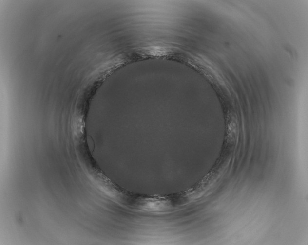 X0000111020555200907171857