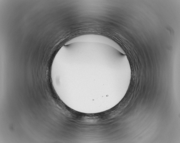 X0000111020556200907171857