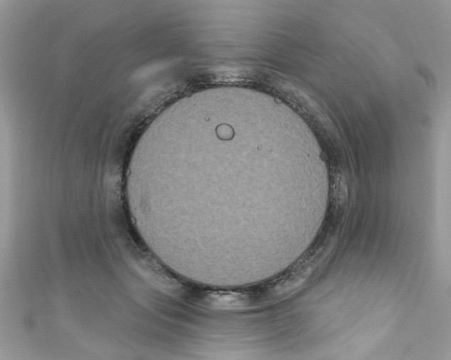 X0000111020557200907171857