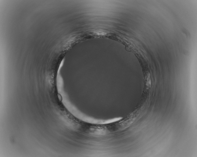 X0000111020559200907171857
