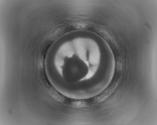 X0000111020561200907171857